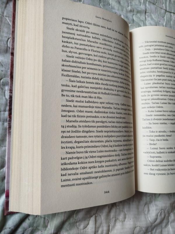 Neužmiršk manęs: romanas - Santa Montefiore, knyga 4