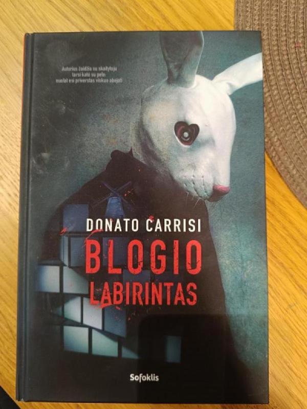 Blogio labirintas - Donato Carrisi, knyga 2