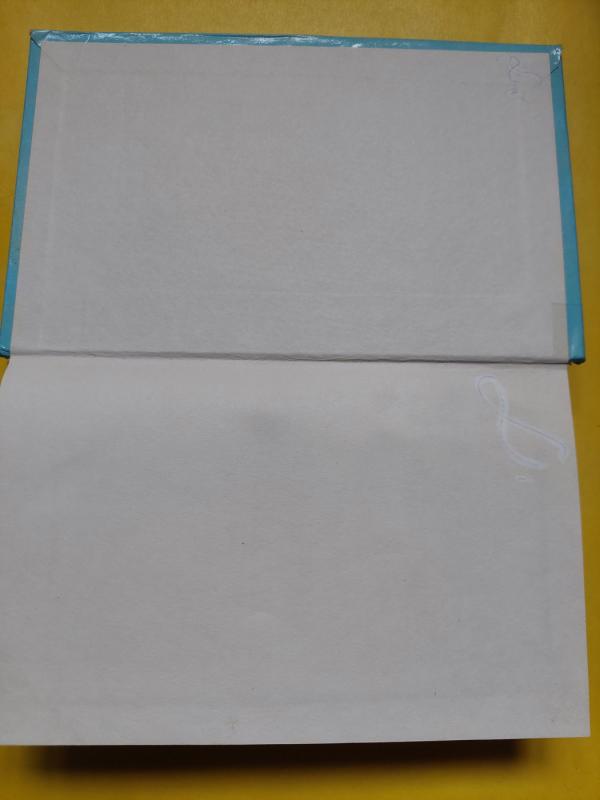 Fejerverkas. Nugalėtojui atitenka viskas - R. D. Deil, Šeron  Mein, knyga 6