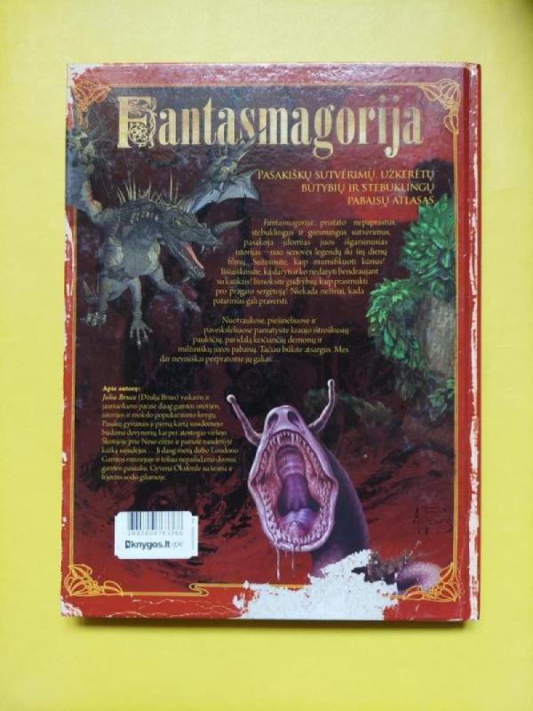 Fantasmagorija - Julia Bruce, knyga 4