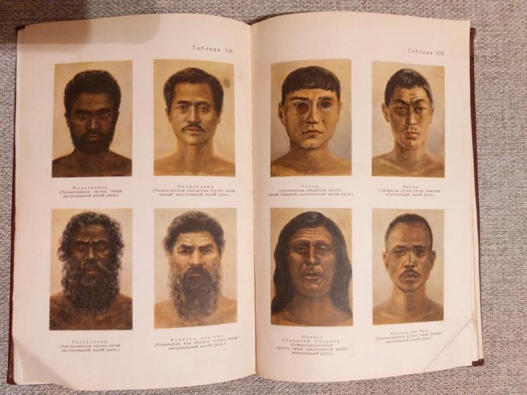 Žmonių rasės - M. Nesturchas, knyga 3