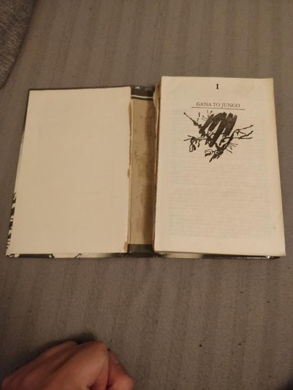 Sukilėliai - Vincas Mykolaitis-Putinas, knyga 5