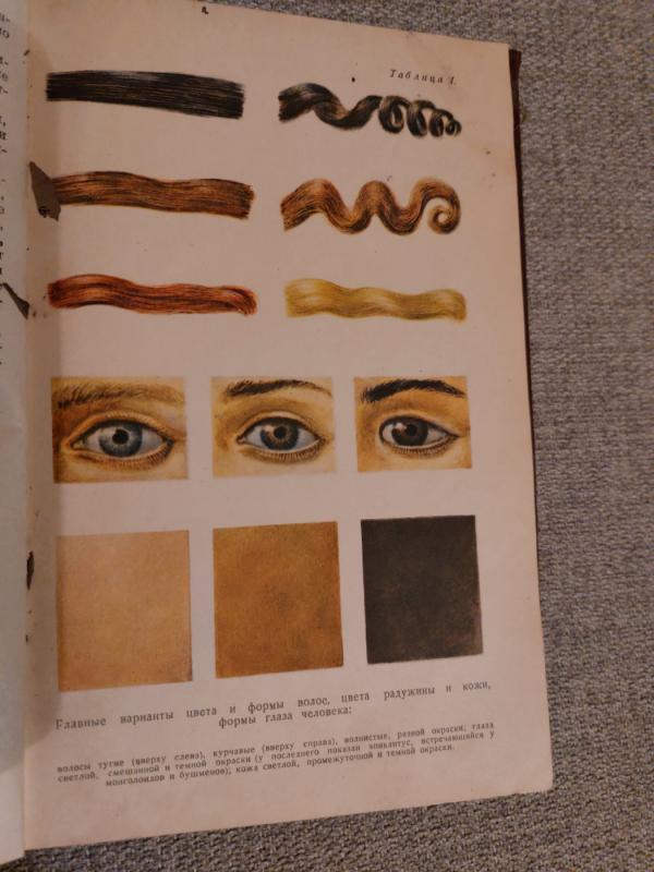 Žmonių rasės - M. Nesturchas, knyga 6