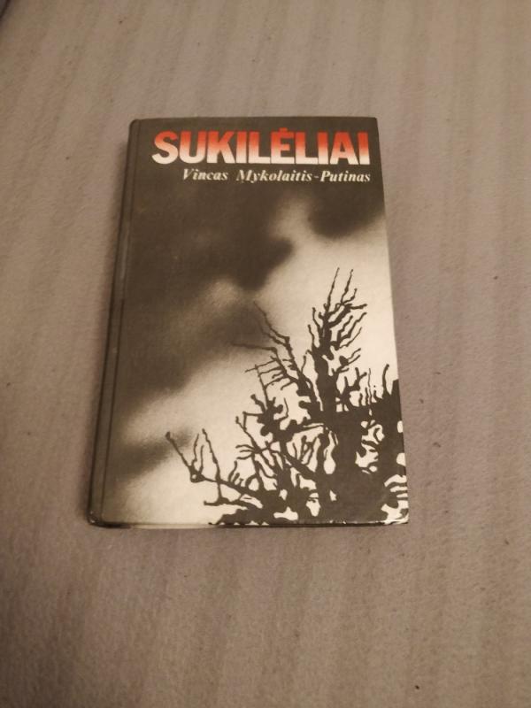 Sukilėliai - Vincas Mykolaitis-Putinas, knyga 2