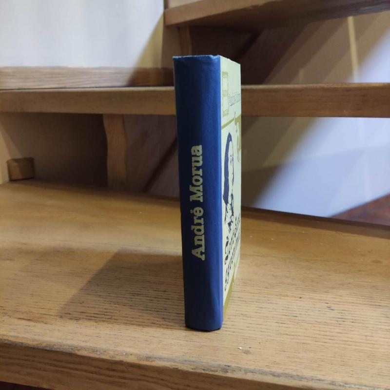 Žorž Sand gyvenimas - Andre Morua, knyga 4