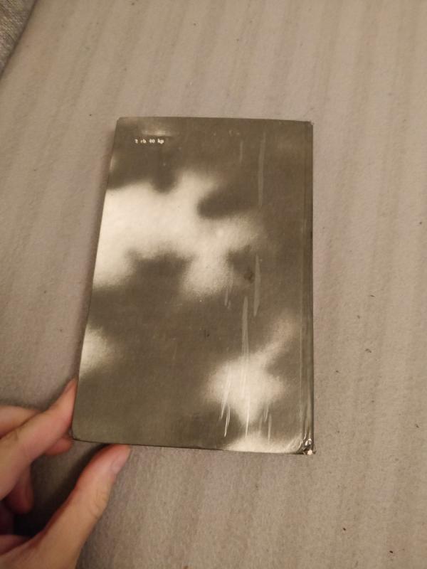 Sukilėliai - Vincas Mykolaitis-Putinas, knyga 3