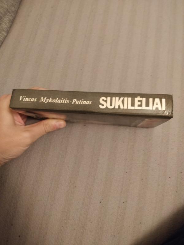 Sukilėliai - Vincas Mykolaitis-Putinas, knyga 4