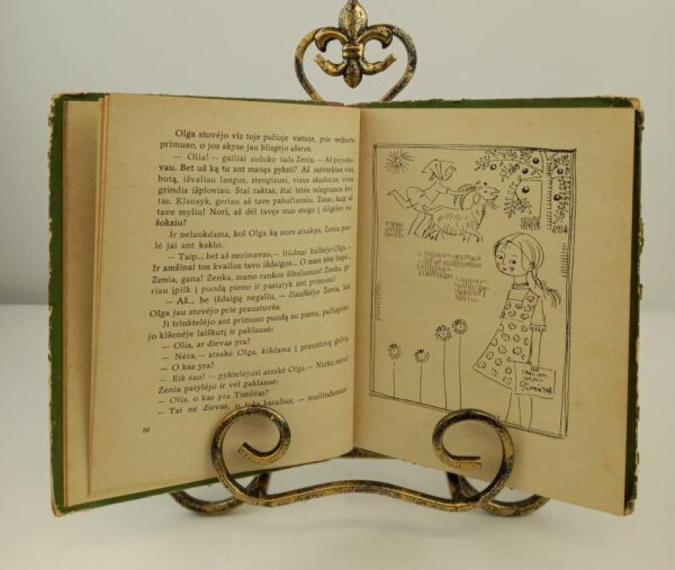 Timūras ir jo būrys 1968 m. - A. Gaidaras, knyga 3