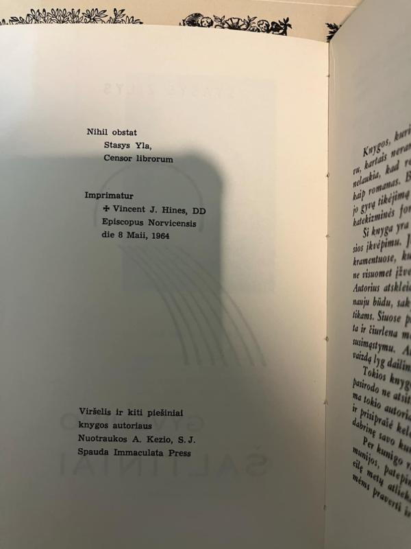 Gyvenimo šaltiniai - Stasys Žilys, knyga 4