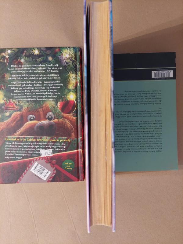 Haris Poteris ir Išminties akmuo - Rowling J. K., knyga 3