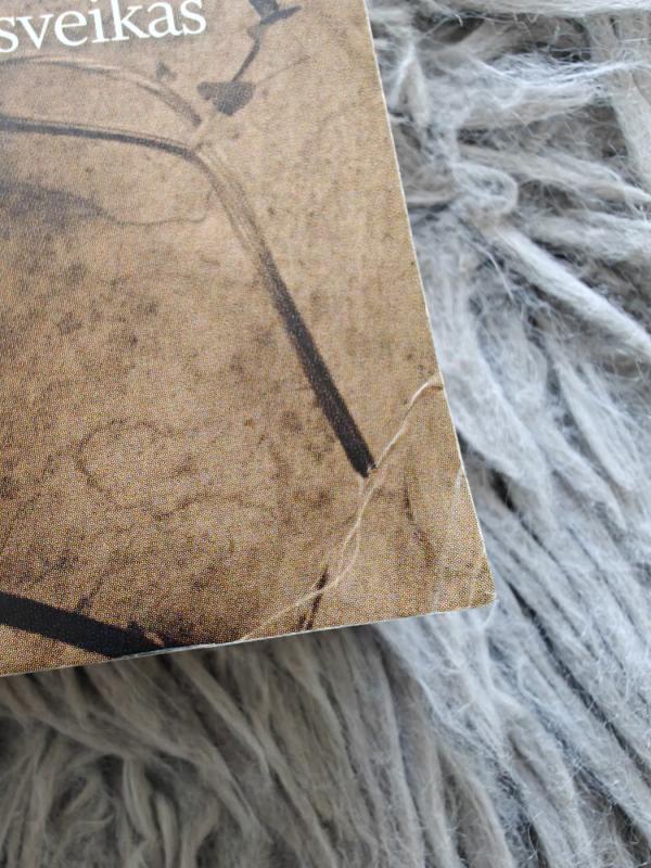 Žiniuonės užrašai - Judita Kaščiuškevičiūtė, knyga 3