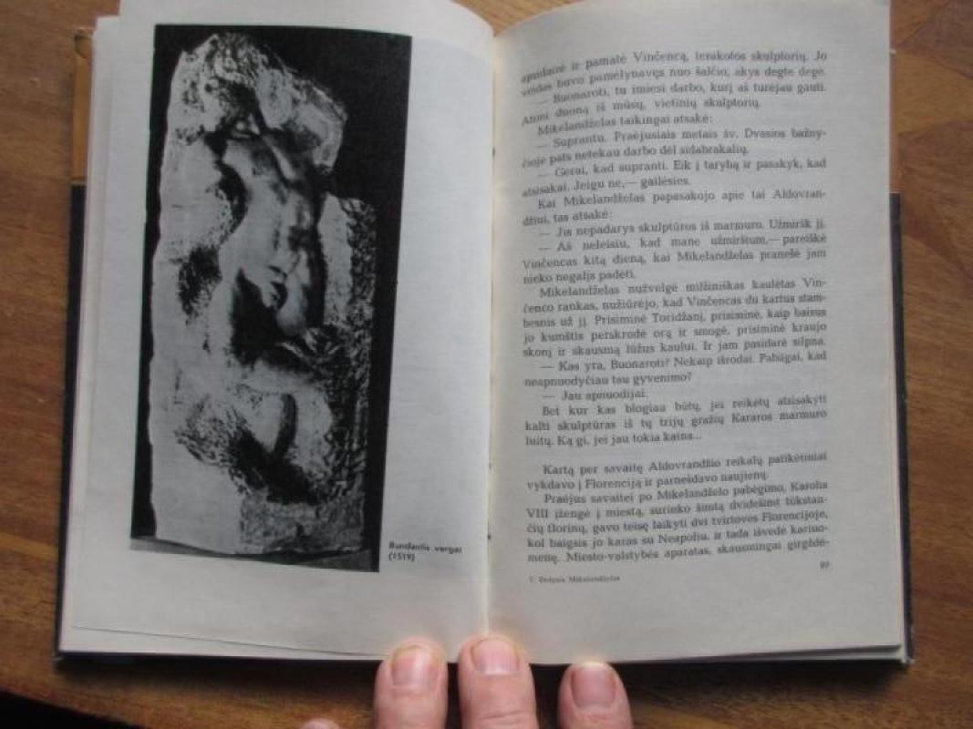 Didysis Mikelandželas - Irvingas Stounas, knyga 3