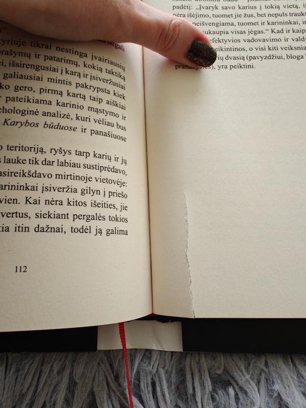 Karo menas - ZI SUN, knyga 3