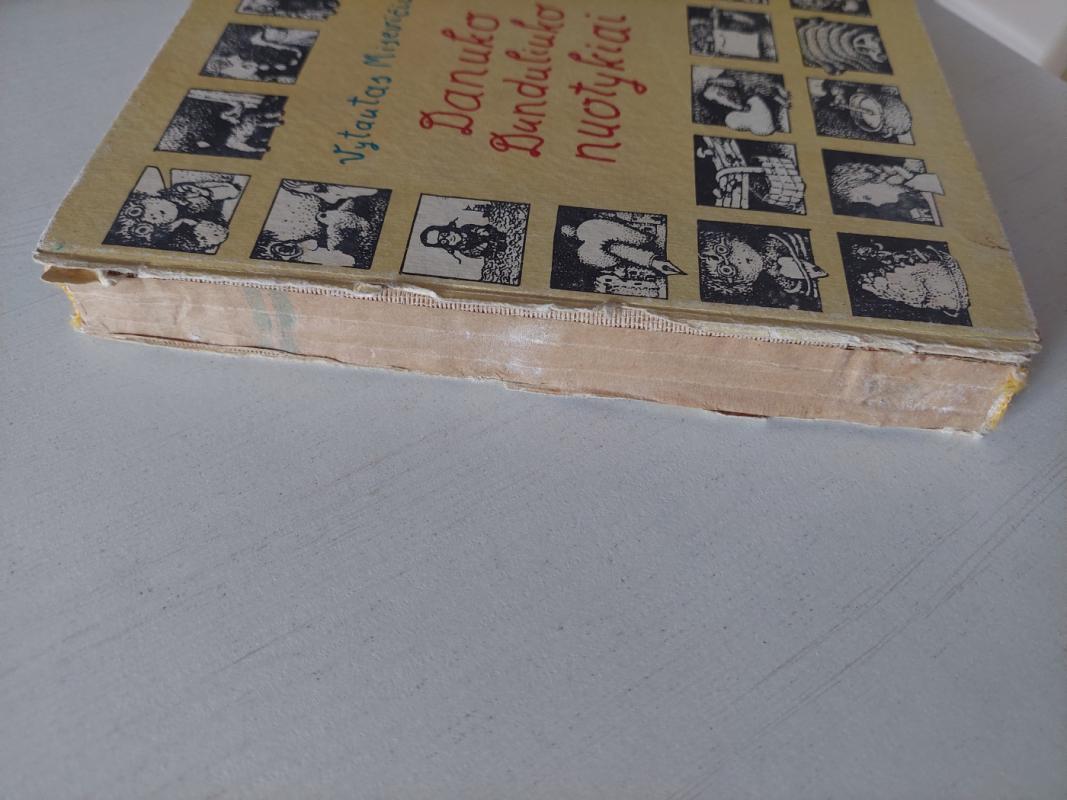 Danuko Dunduliuko nuotykiai - Vytautas Misevičius, knyga 3