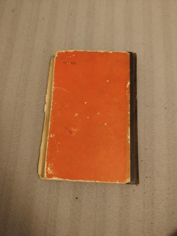 Auksinis vabalas - Edgaras Alanas Po, knyga 3