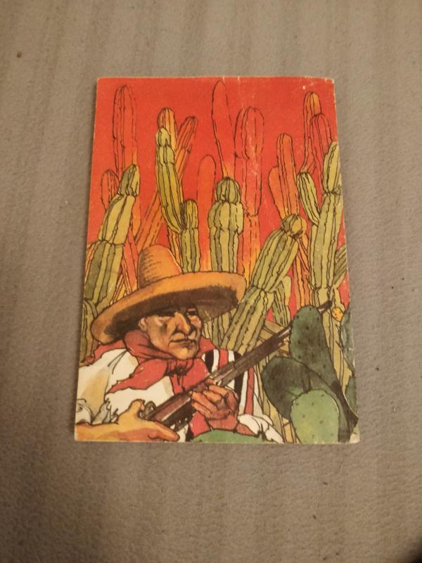 Estakado dykumos šmėkla - Karlas Majus, knyga 3