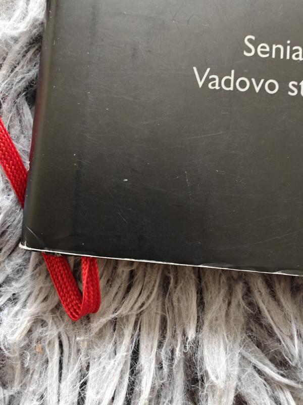 Karo menas - ZI SUN, knyga 4