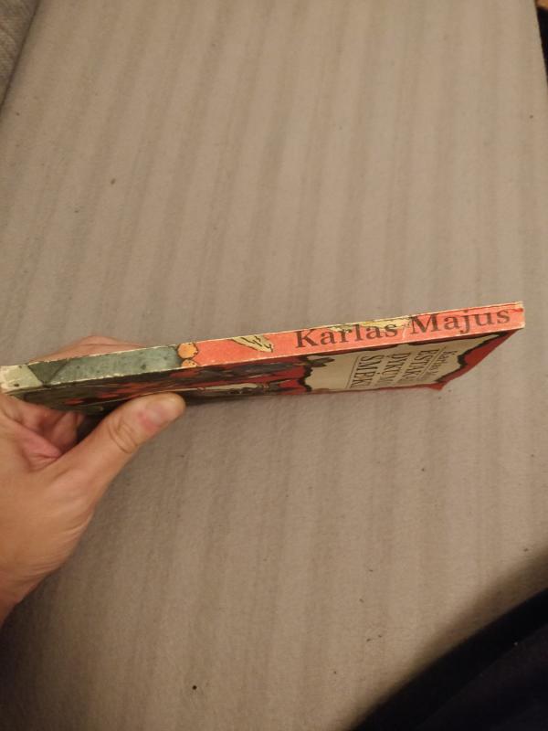 Estakado dykumos šmėkla - Karlas Majus, knyga 5