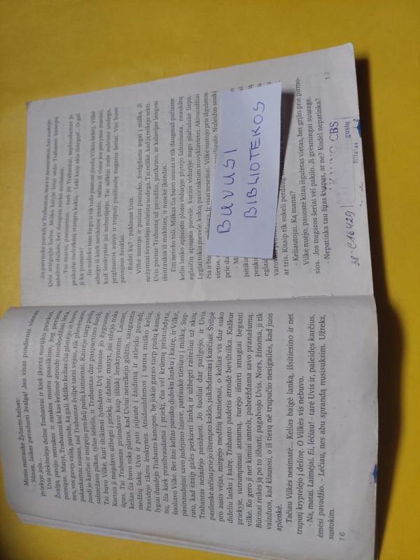 Atpildo strėlė - Autorių Kolektyvas, knyga 4