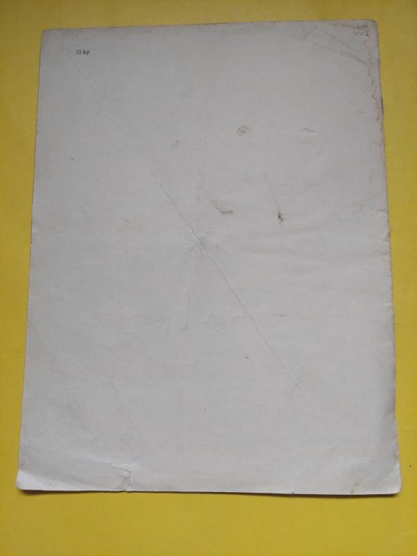 Atvažiavom mes į Bamą - Zinaida Aleksandrova, knyga 4