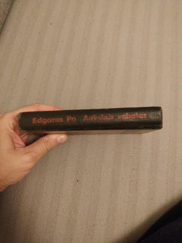 Auksinis vabalas - Edgaras Alanas Po, knyga 4