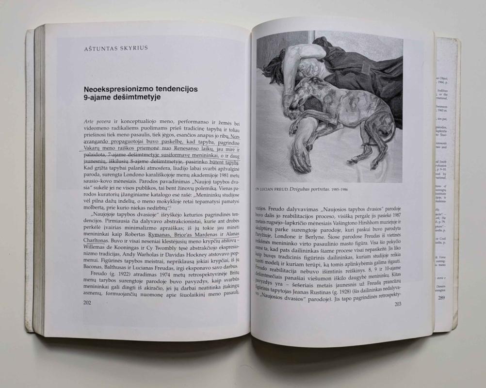 Meno kryptys nuo 1945-ųjų Temos ir koncepcijos - Lucie - Smith Edward, knyga 6