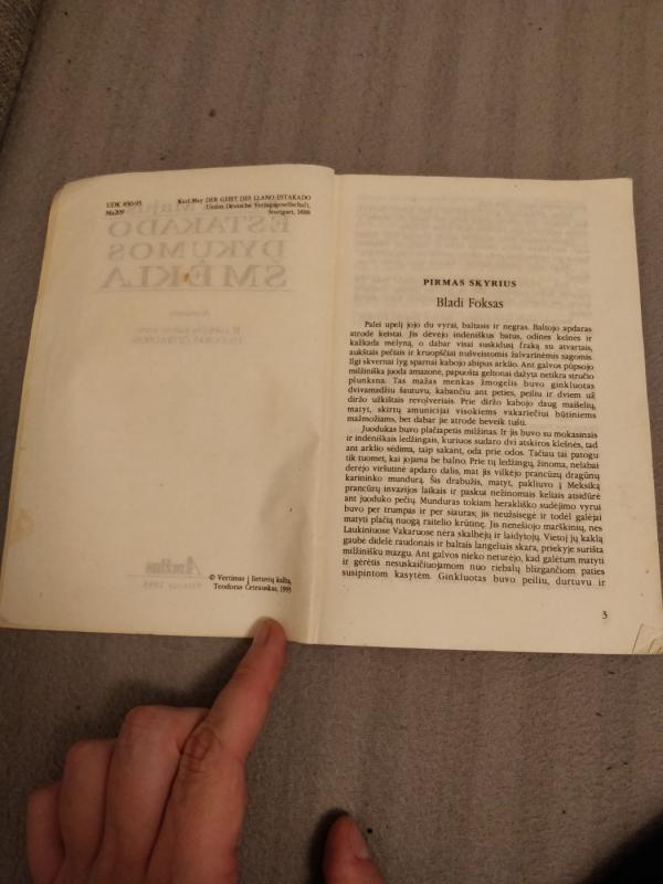 Estakado dykumos šmėkla - Karlas Majus, knyga 4