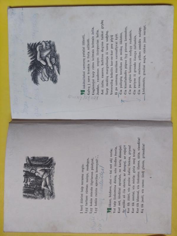 Anykščių šilelis - Antanas Baranauskas, knyga 6