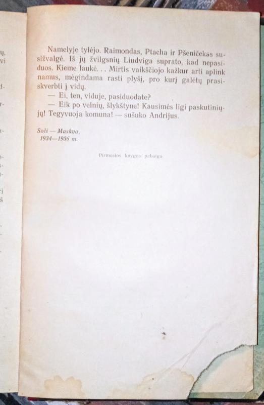 Audrų pagimdyti - Nikolajus Ostrovskis, knyga 5