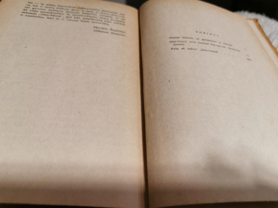 Mes-Mend, arba jankiai Petrograde - Marieta Šaginian, knyga 4