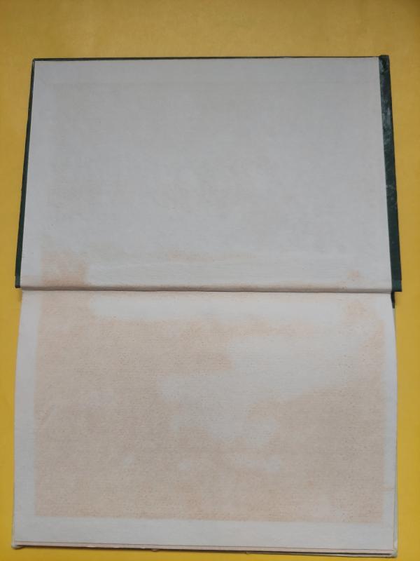 Framas-Baltasis lokys - Čezaras Petreskus, knyga 3