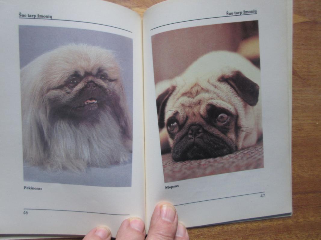 Šuo tarp žmonių - Rūta Čerkesienė, knyga 3