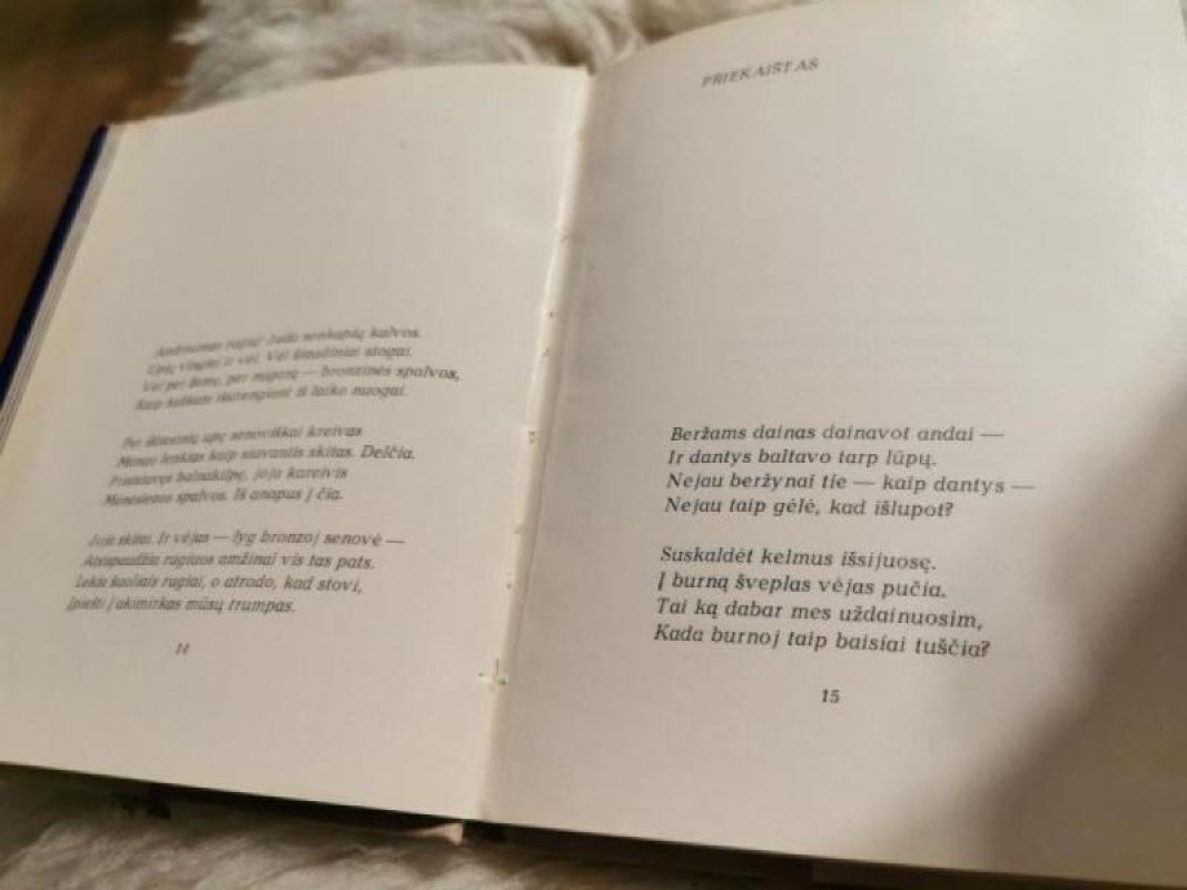 Slenkstis - Albinas Bernotas, knyga 3