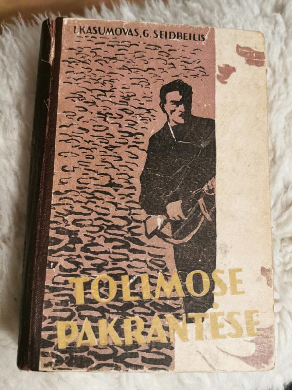 Tolimose pakrantėse - Seidbeilis G. Kasumovas I., knyga 2