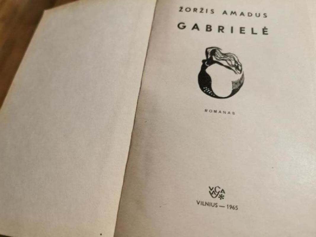 Gabrielė - Žoržis Amadus, knyga 3