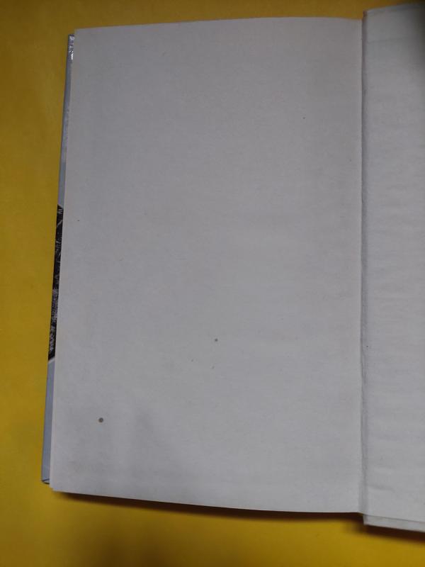 Flandrijos kelias - Klodas Simonas, knyga 3