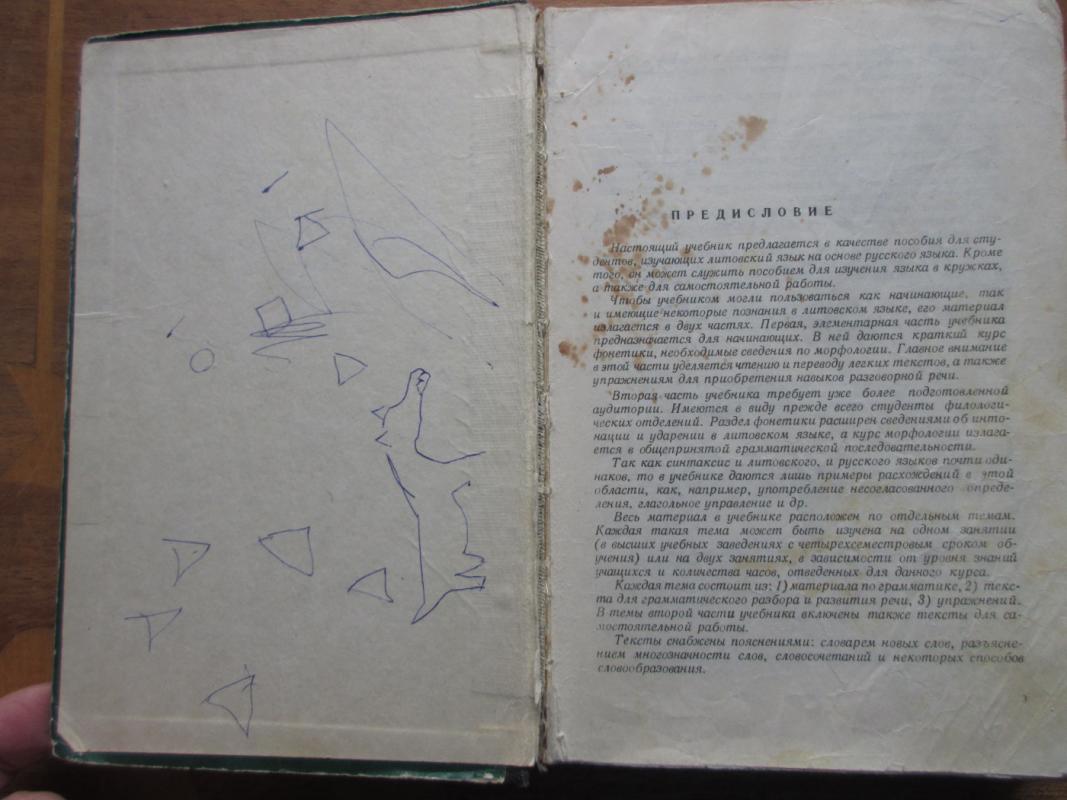 Lietuvių kalbos vadovėlis - E. Orvidienė, knyga 4