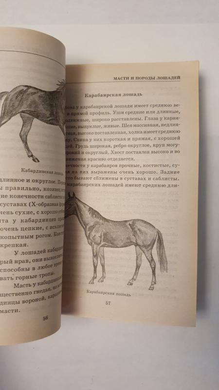 Loshadi, razvedenije i uhod - A.Gerasimov, knyga 4