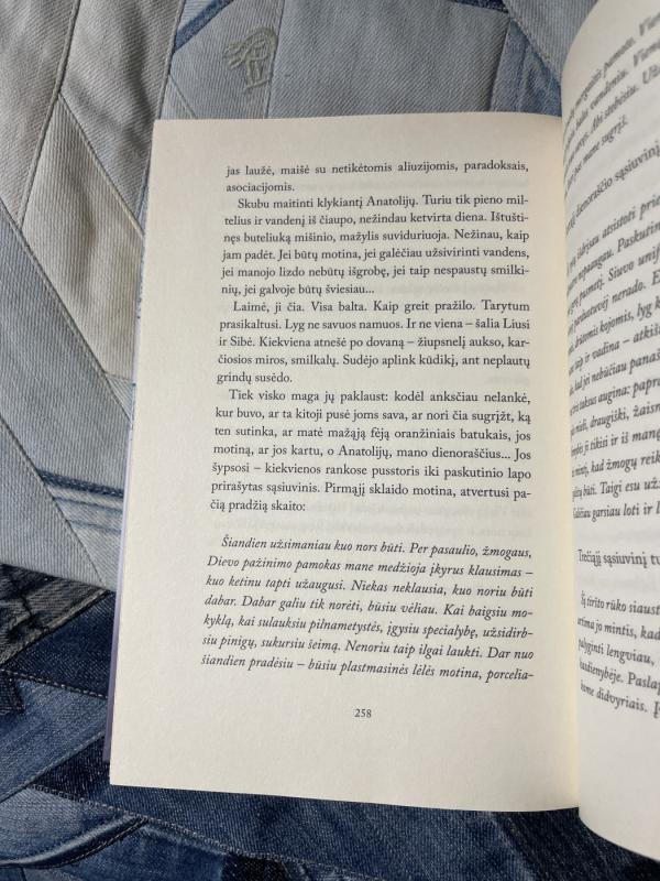 Azuritijos kardinolai - Jurga Žąsinaitė, knyga 4