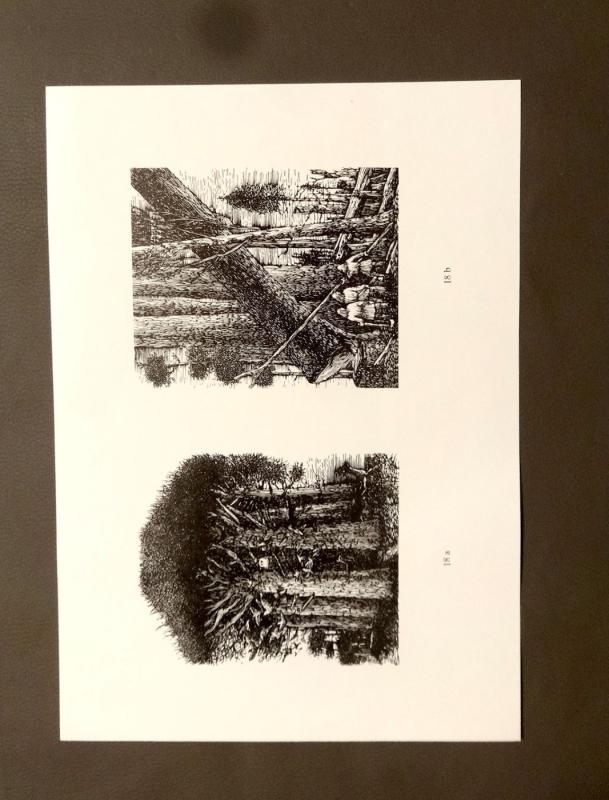 Lietuvių literatūros klasikos iliustracijos - Liuda Ruseckienė, knyga 4