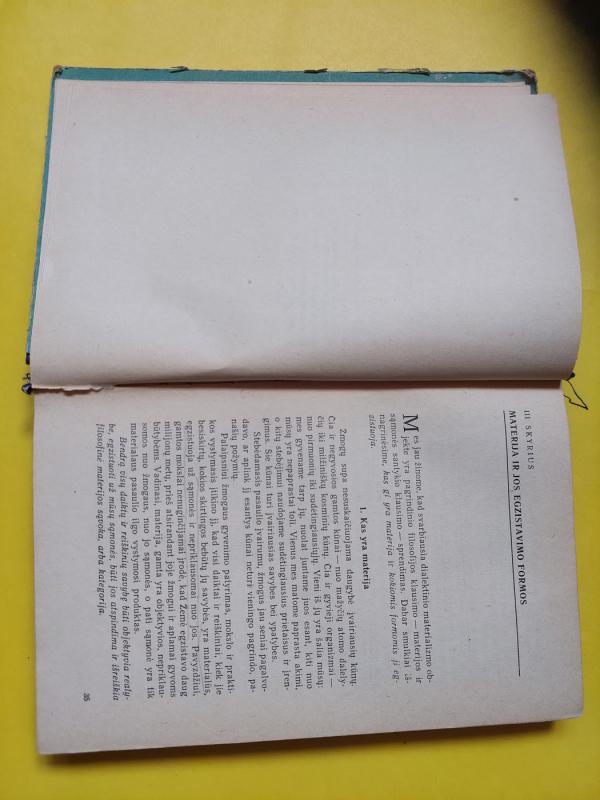 Filosofijos žinių pagrindai - V. Afanasjevas, knyga 5