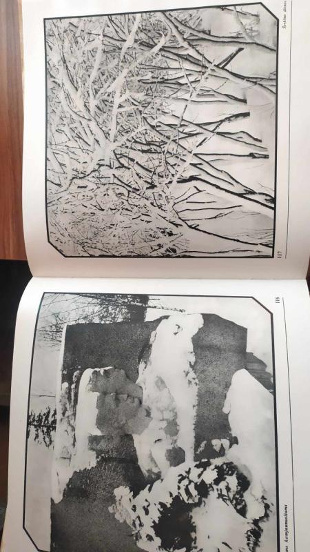 Mūsų Kaunas - Romualdas Rakauskas, knyga 4