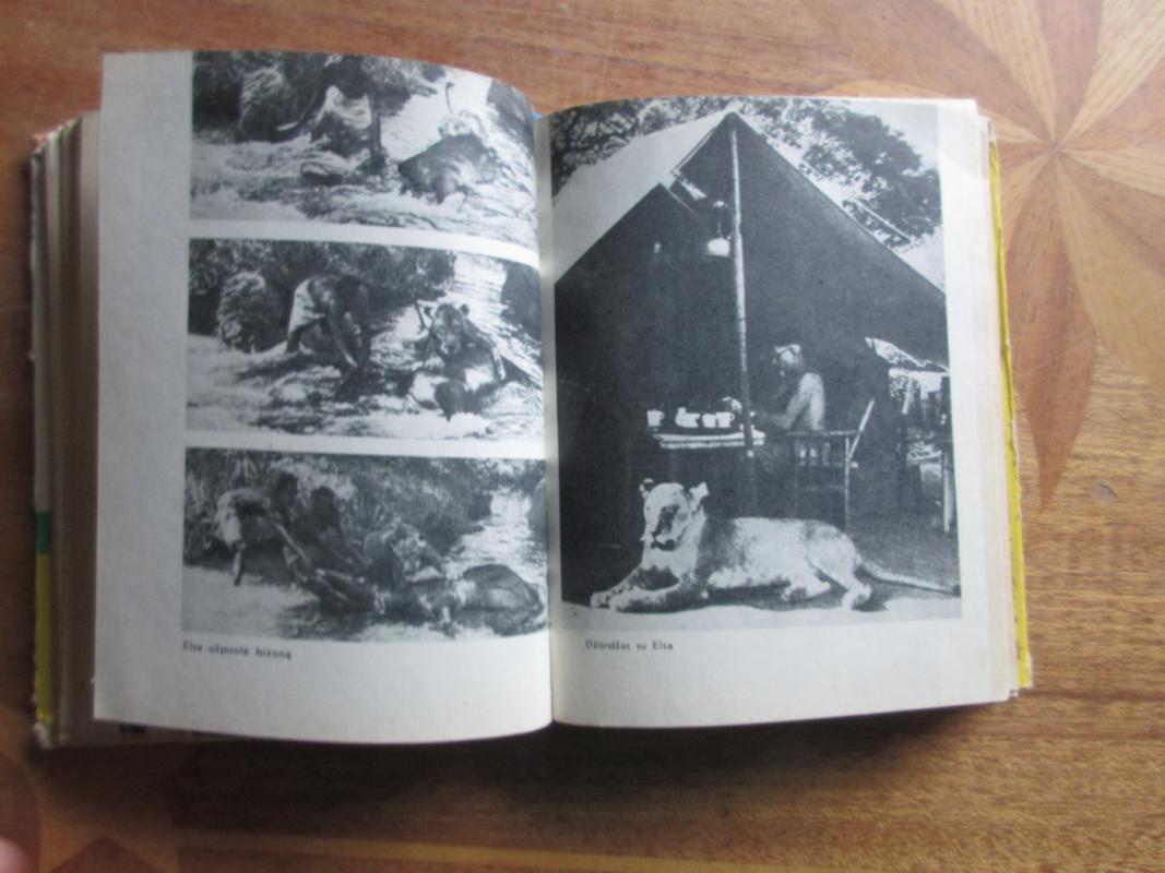 Gimusi laisva - Džoja Adamson, knyga 2