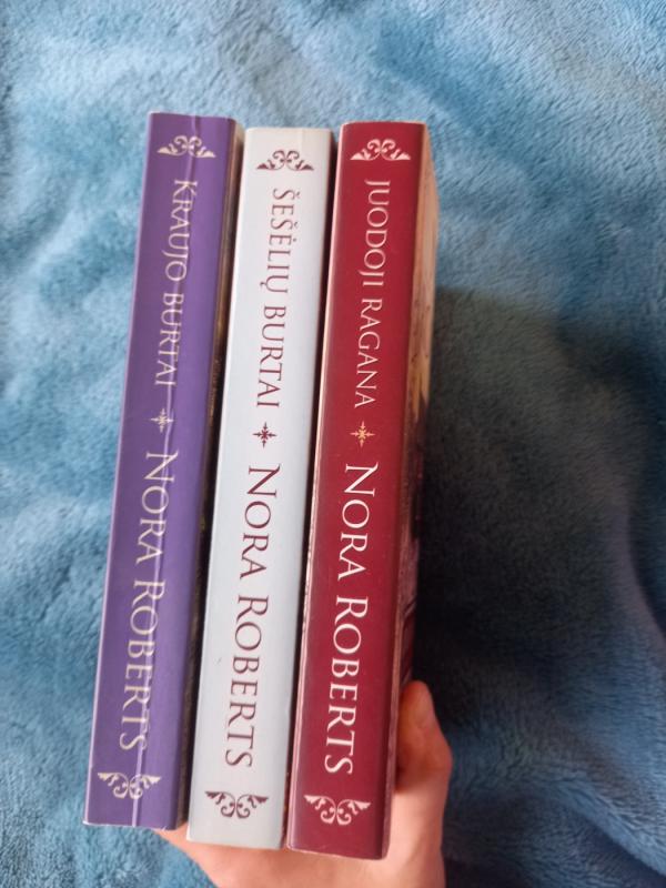 Juodoji ragana, Šešėlių burtai, Kraujo burtai (O'Dvajerių trilogija) - Nora Roberts, knyga