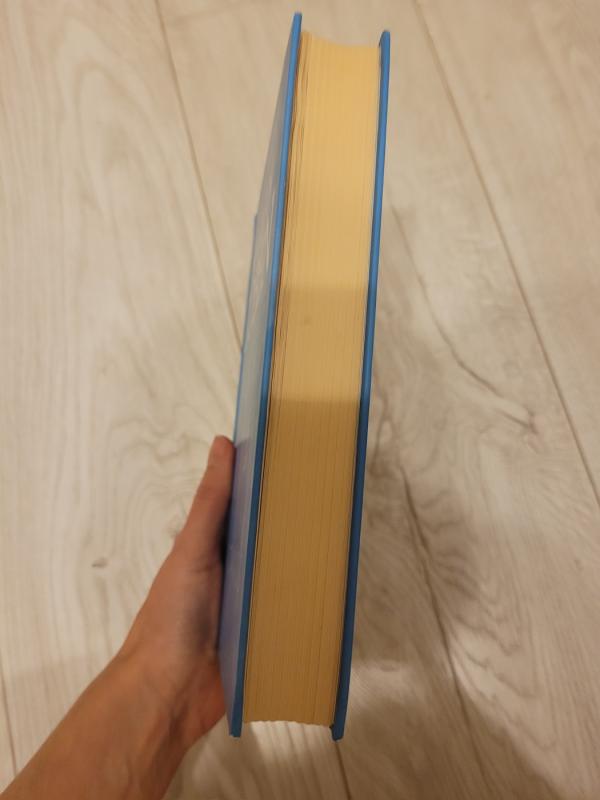 Nepažįstamasis - Harlan Coben, knyga 3