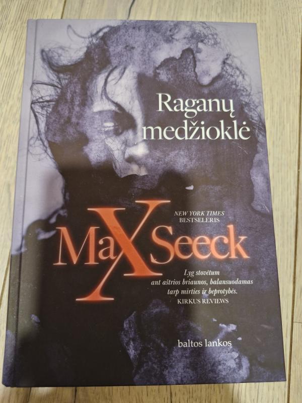 Raganų medžioklė - Max Seeck, knyga 3