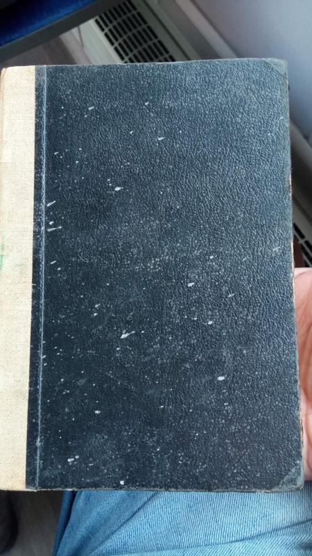 Zegnaj fifth avenue - Kornelius Vandetbildt , knyga 2