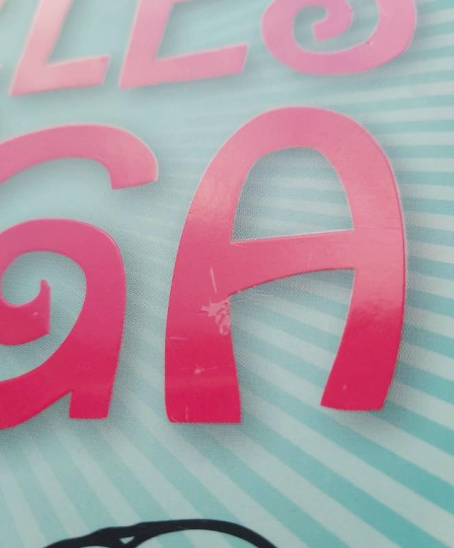 Panelės knyga - Kaz Cooke, knyga 4