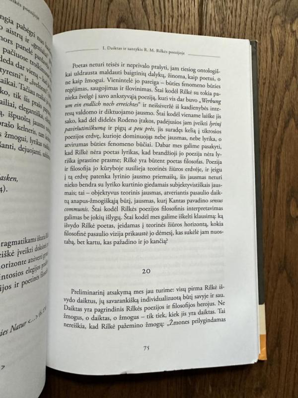 Daiktas ir menas: du meno kūrinio ontologijos etiudai - Arvydas Šliogeris, knyga 6