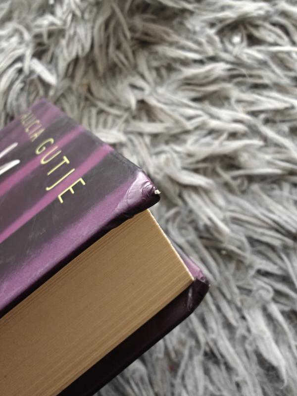 Mėlynas rūkas. Antra knyga - Gutje Alicia, knyga 3